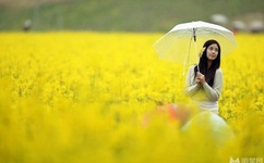 东北打桩机2023gray